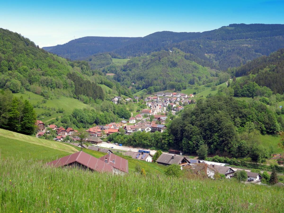 Am Doettelbach Lägenhet Bad Peterstal-Griesbach Exteriör bild