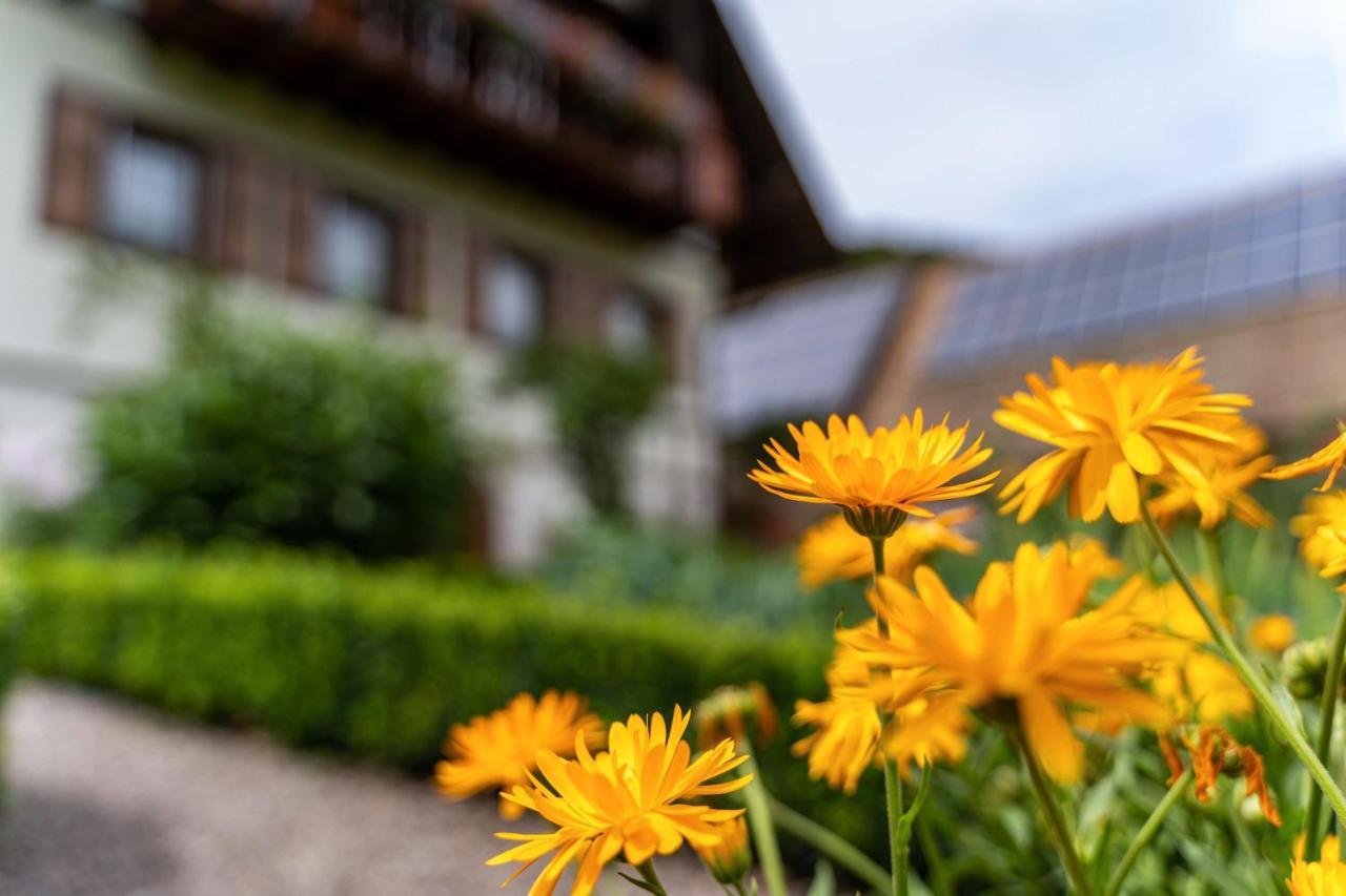Am Doettelbach Lägenhet Bad Peterstal-Griesbach Exteriör bild