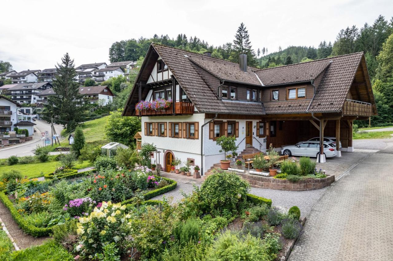 Am Doettelbach Lägenhet Bad Peterstal-Griesbach Exteriör bild