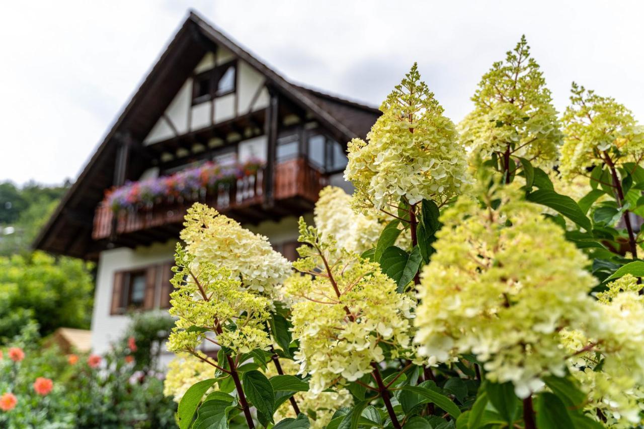 Am Doettelbach Lägenhet Bad Peterstal-Griesbach Exteriör bild