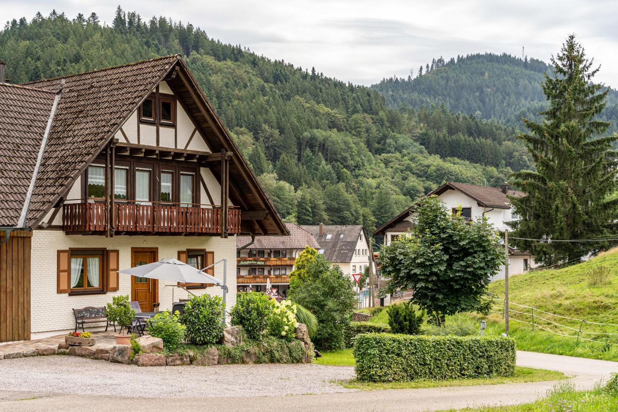 Am Doettelbach Lägenhet Bad Peterstal-Griesbach Exteriör bild