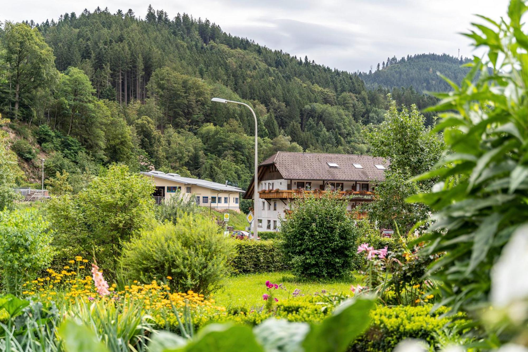 Am Doettelbach Lägenhet Bad Peterstal-Griesbach Exteriör bild